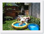 IMG_9581 * 2048 x 1536 * (1.88MB)