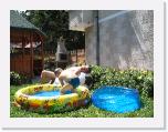 IMG_9582 * 2048 x 1536 * (1.95MB)