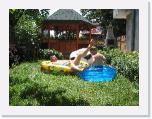 IMG_9588 * 2048 x 1536 * (2.27MB)