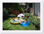 IMG_9591 * 2048 x 1536 * (1.98MB)